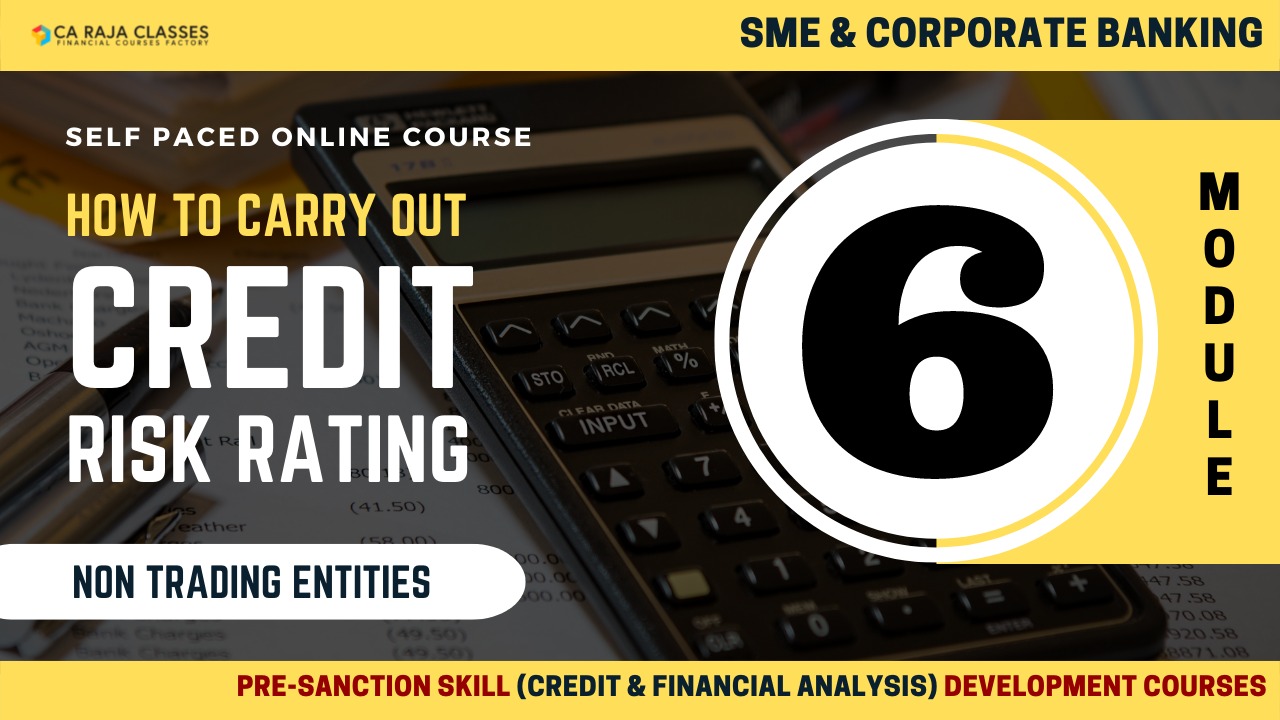 How to do Credit Risk Rating